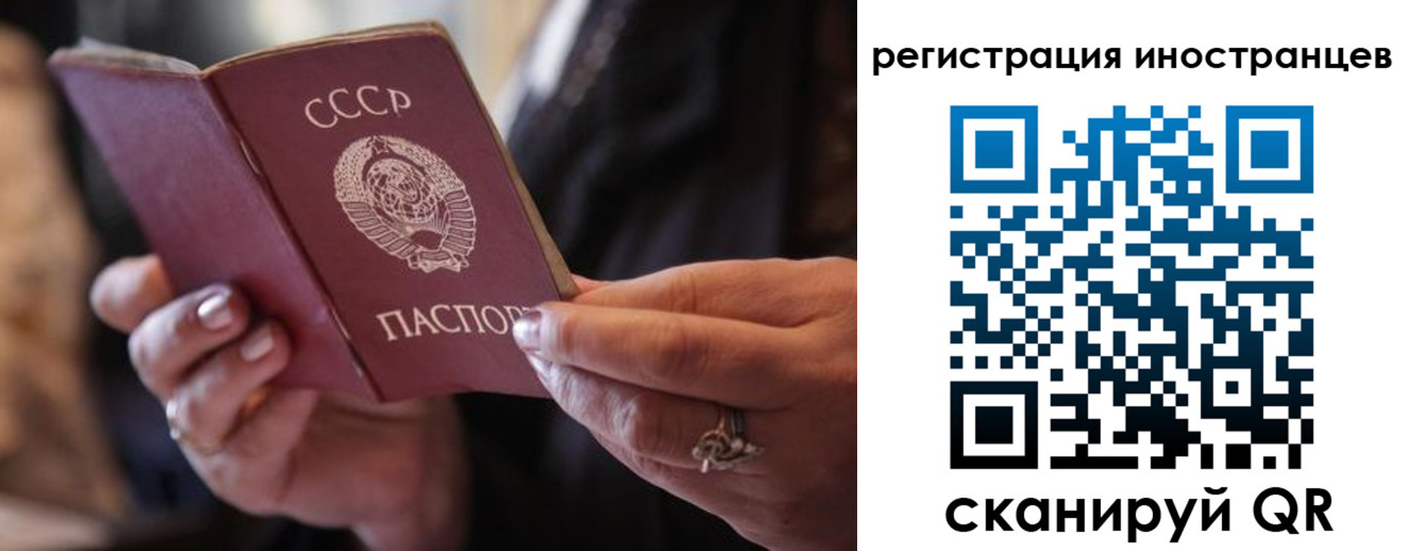 где прописаться в Борисоглебске